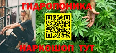 скорость Будённовск