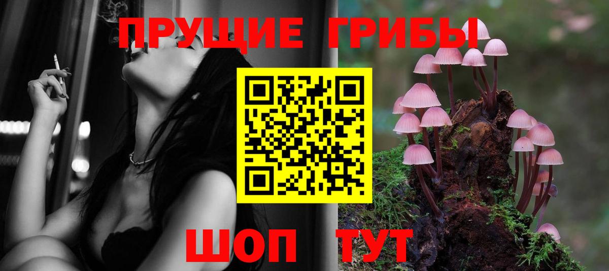 Псилоцибиновые грибы Psilocybine cubensis  Вход с VPN  Югорск 